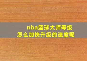 nba篮球大师等级怎么加快升级的速度呢