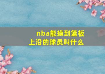 nba能摸到篮板上沿的球员叫什么