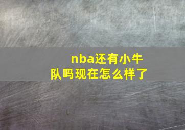 nba还有小牛队吗现在怎么样了