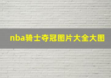 nba骑士夺冠图片大全大图