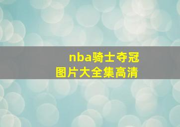 nba骑士夺冠图片大全集高清