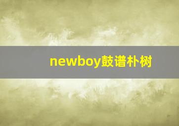 newboy鼓谱朴树