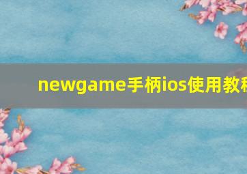 newgame手柄ios使用教程