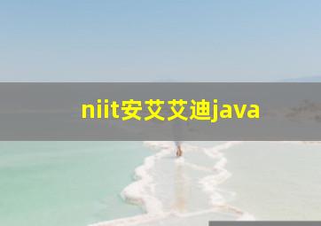 niit安艾艾迪java