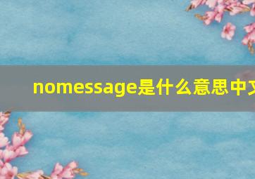 nomessage是什么意思中文