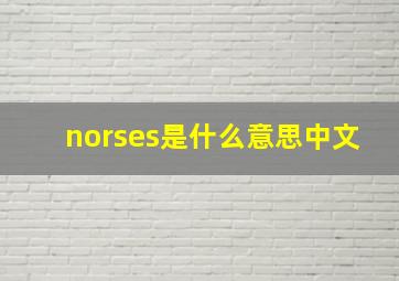 norses是什么意思中文