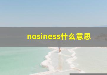 nosiness什么意思