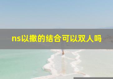 ns以撒的结合可以双人吗