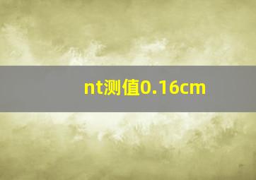 nt测值0.16cm