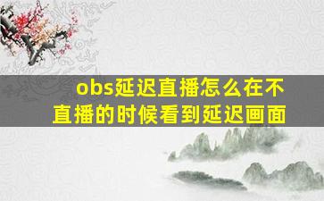 obs延迟直播怎么在不直播的时候看到延迟画面