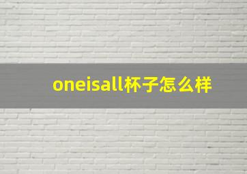 oneisall杯子怎么样