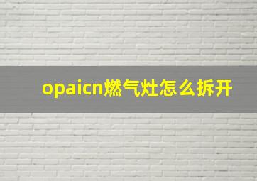 opaicn燃气灶怎么拆开