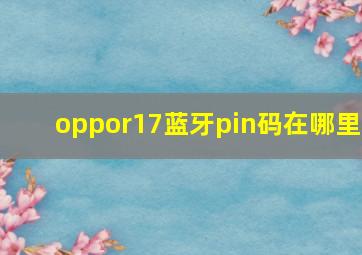 oppor17蓝牙pin码在哪里