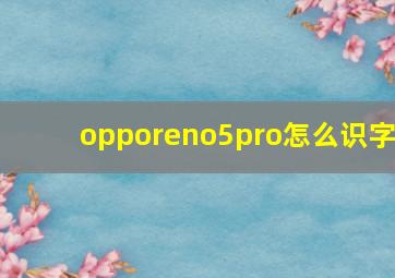 opporeno5pro怎么识字