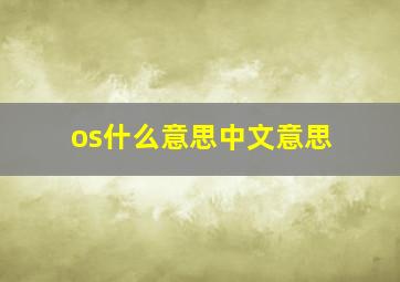 os什么意思中文意思