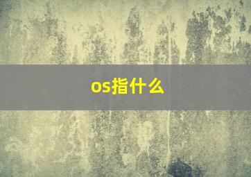 os指什么