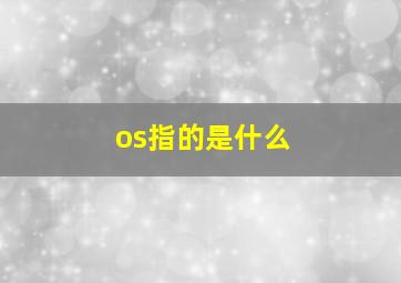 os指的是什么