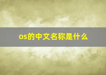 os的中文名称是什么