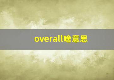 overall啥意思