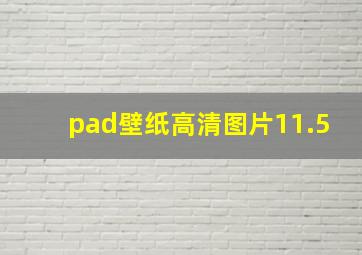 pad壁纸高清图片11.5