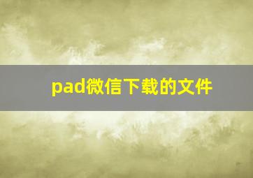 pad微信下载的文件