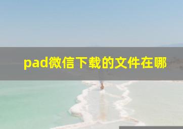 pad微信下载的文件在哪