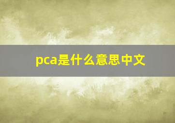 pca是什么意思中文