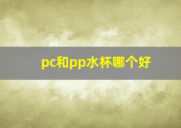 pc和pp水杯哪个好