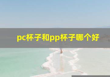 pc杯子和pp杯子哪个好