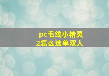 pc毛线小精灵2怎么选单双人