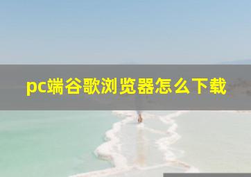 pc端谷歌浏览器怎么下载