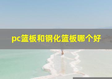 pc篮板和钢化篮板哪个好