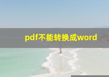 pdf不能转换成word