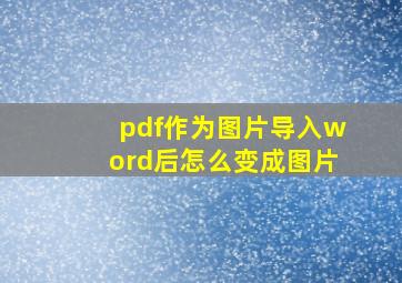 pdf作为图片导入word后怎么变成图片