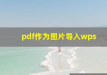 pdf作为图片导入wps