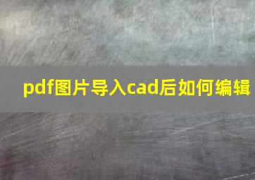 pdf图片导入cad后如何编辑