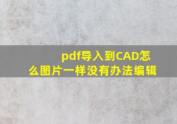 pdf导入到CAD怎么图片一样没有办法编辑