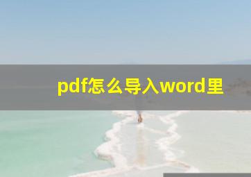 pdf怎么导入word里