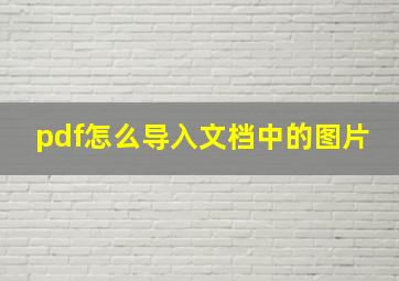 pdf怎么导入文档中的图片