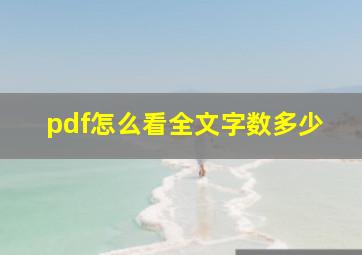 pdf怎么看全文字数多少