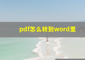 pdf怎么转到word里