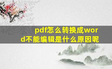 pdf怎么转换成word不能编辑是什么原因呢