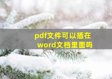 pdf文件可以插在word文档里面吗