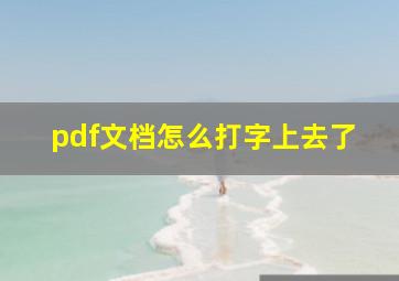 pdf文档怎么打字上去了