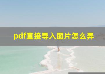 pdf直接导入图片怎么弄