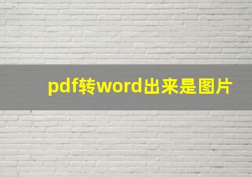 pdf转word出来是图片