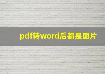 pdf转word后都是图片