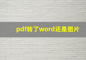 pdf转了word还是图片