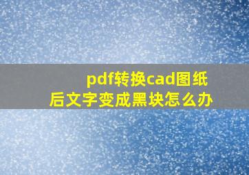 pdf转换cad图纸后文字变成黑块怎么办