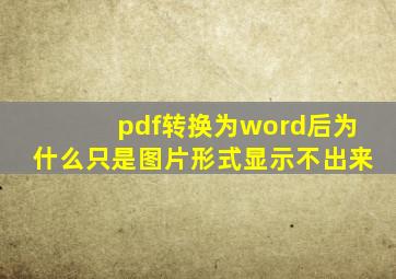 pdf转换为word后为什么只是图片形式显示不出来